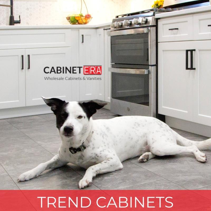 6 Best Pet-Friendly Kitchen Remodel Ideas in Chantilly VA