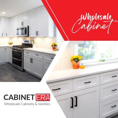 6 Reasons Best Kitchen Renovation in Springfield VA