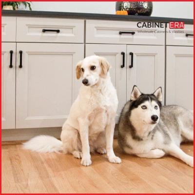 Kitchen Cabinets Takoma Park