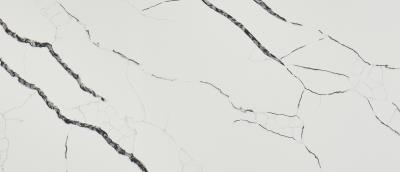 Calacatta Laza Night