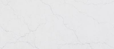 Calacatta Miraggio Duo